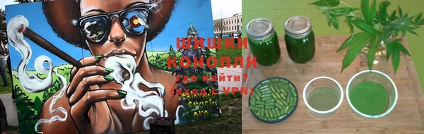 гидра Зеленокумск