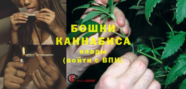 гидра Зеленокумск