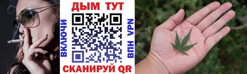 Бошки Шишки SATIVA & INDICA  Купить закладки  Ноябрьск 